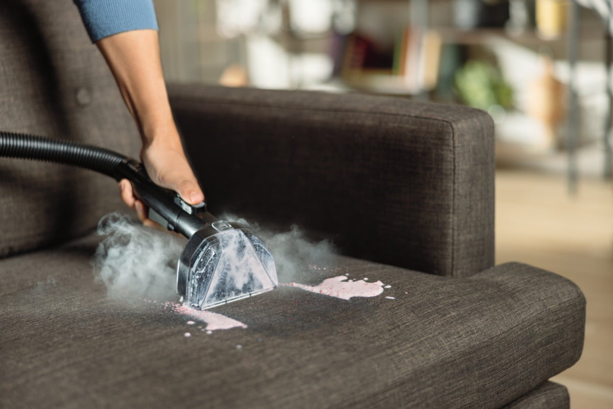 BISSELL Little Green® HydroSteam® Pet Portable Carpet Cleaner